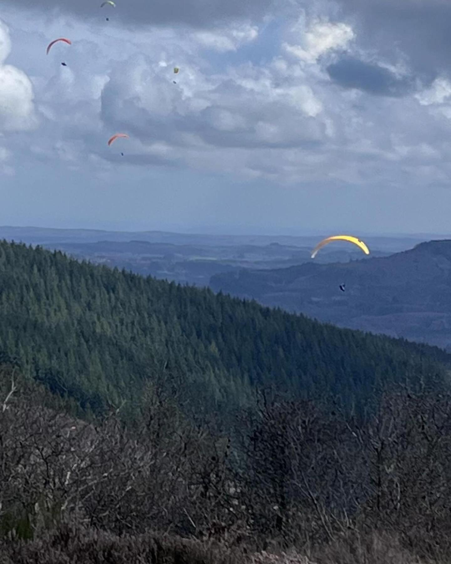 Le Cantou Affieux Exteriör bild