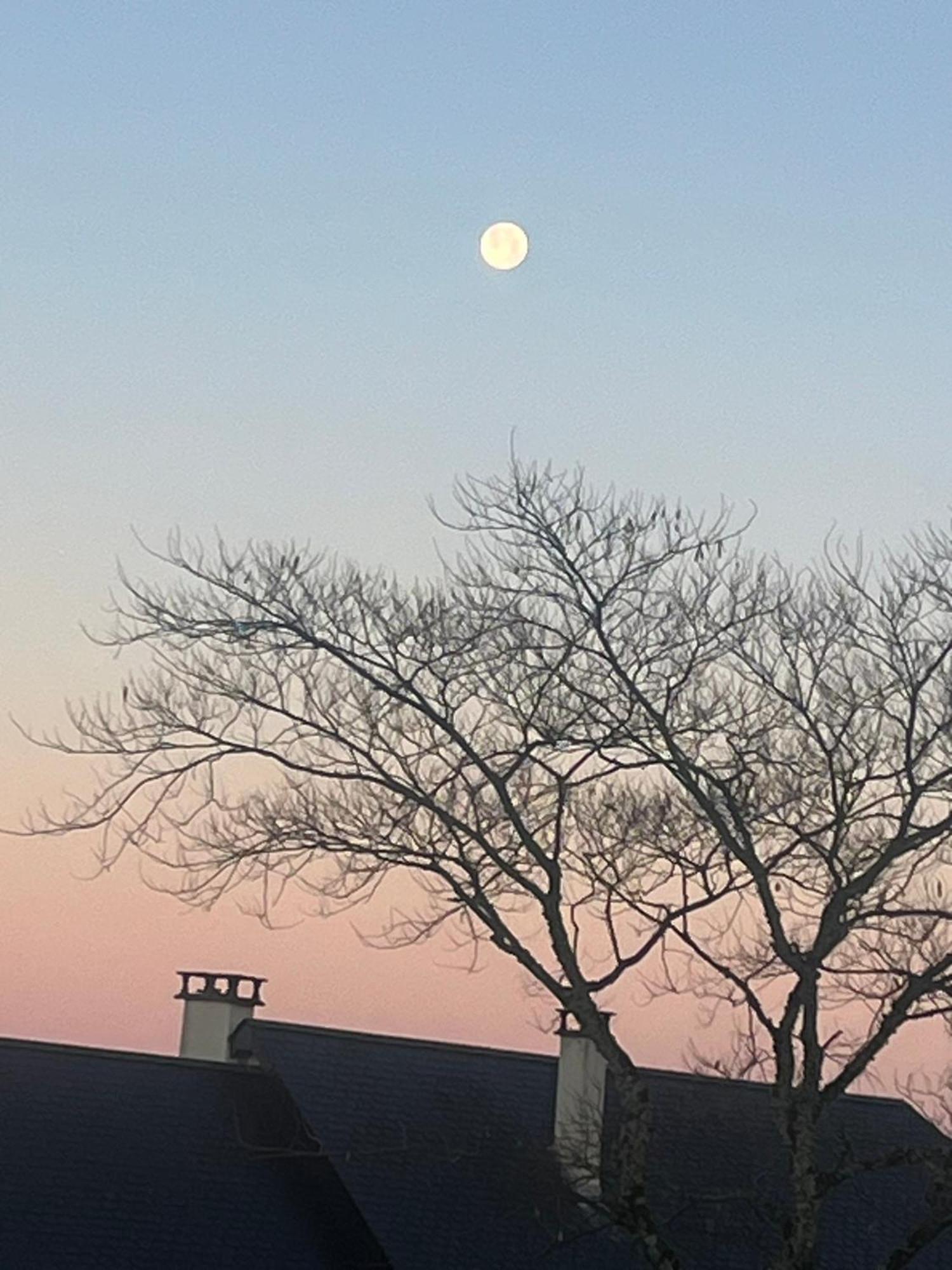 Le Cantou Affieux Exteriör bild