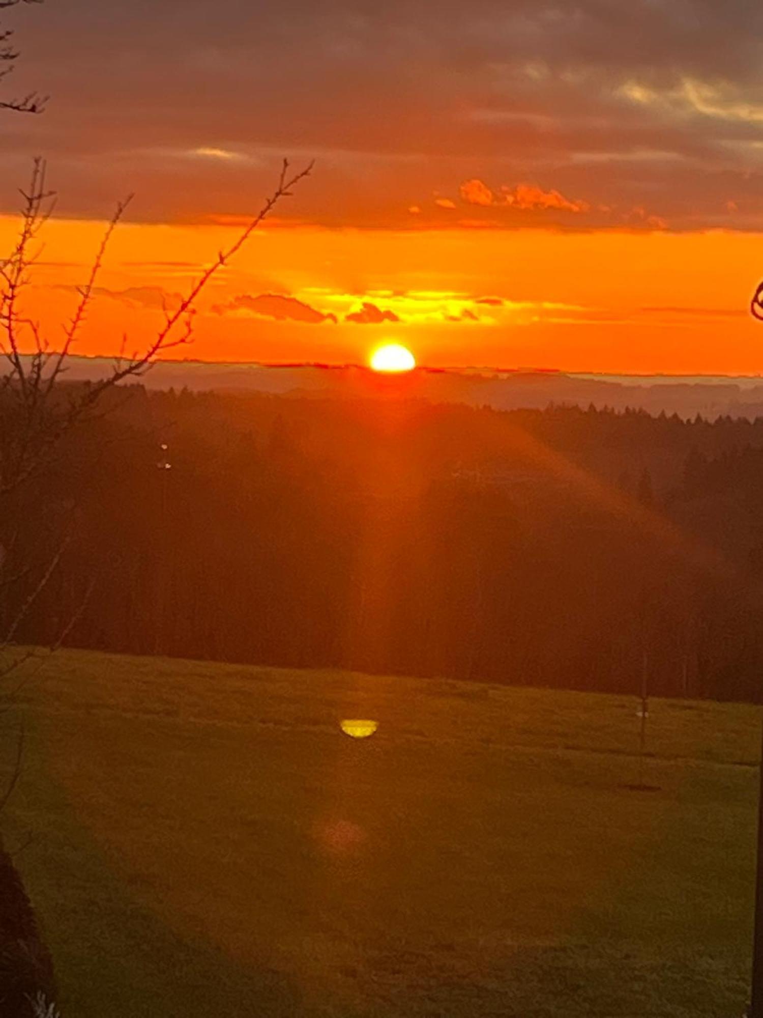Le Cantou Affieux Exteriör bild