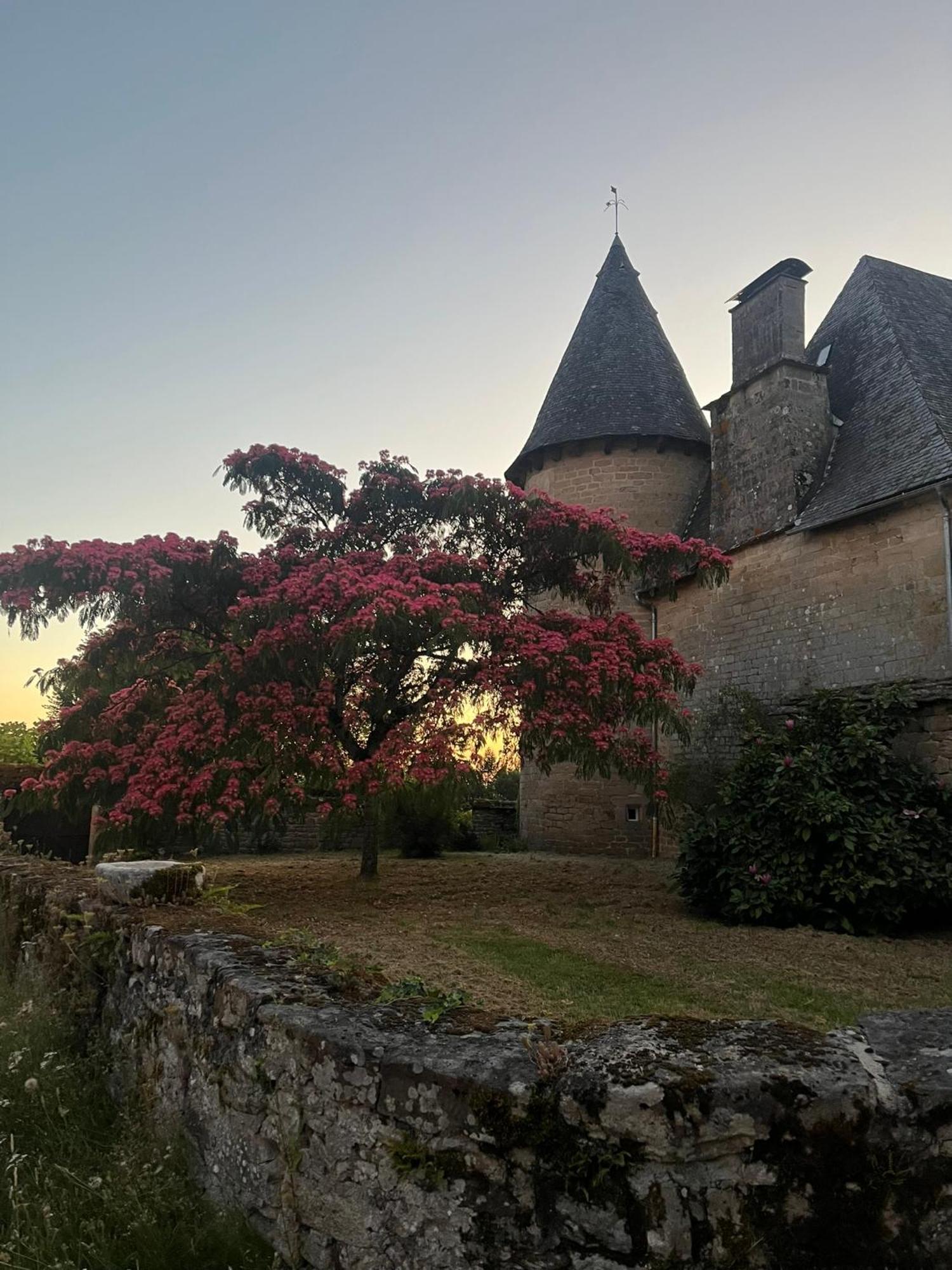 Le Cantou Affieux Exteriör bild