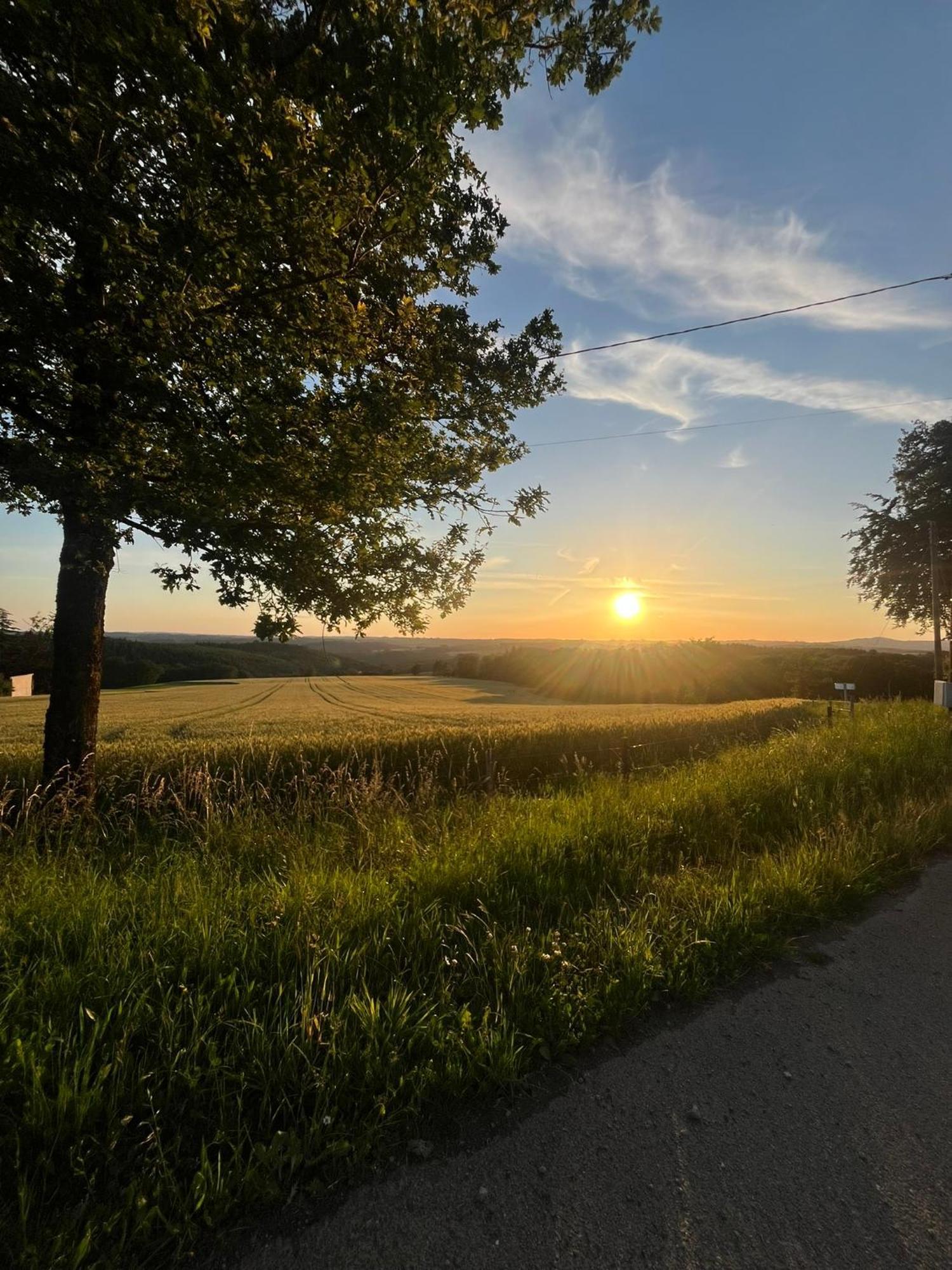 Le Cantou Affieux Exteriör bild